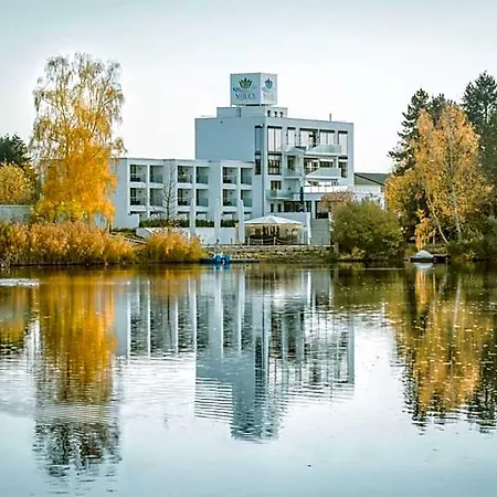 Seehotel Forst (Baden)